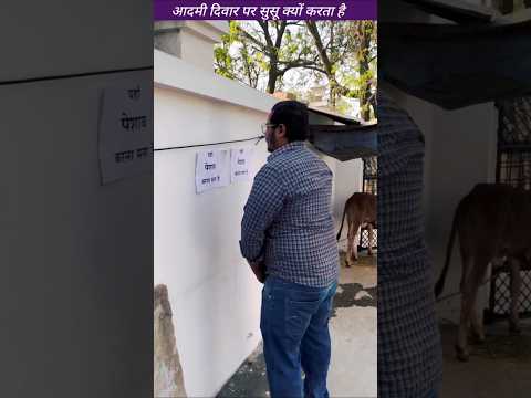 दीवार में सुसू क्यों करता था 😱 Wood working with art handcraft ideas /home maderal telent/skill-art