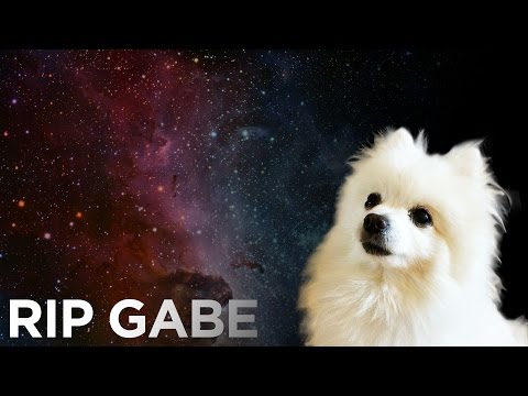 RIP Gabe