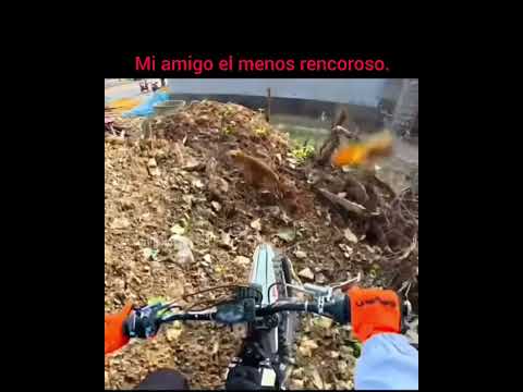 ya no se que hacer con mi vida💔 #memes #nosequesubir #fypシ゚viral #shortvideo #humor #decadencia #XDD