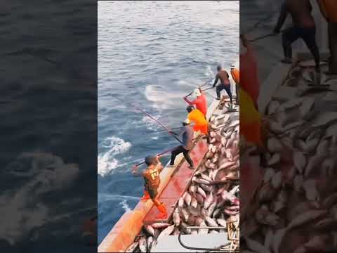 Fishing trick #நவீன் #tamil #trandingshorts