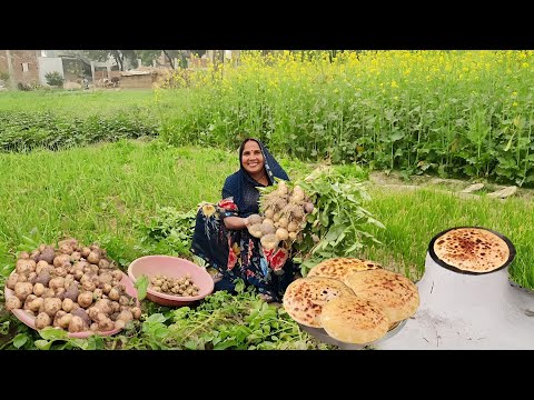 इस सर्दियों के मौसम में बनाये गरमा गरम आलू के फुले-फुले पराठे || Stuffed aalu paratha recipe