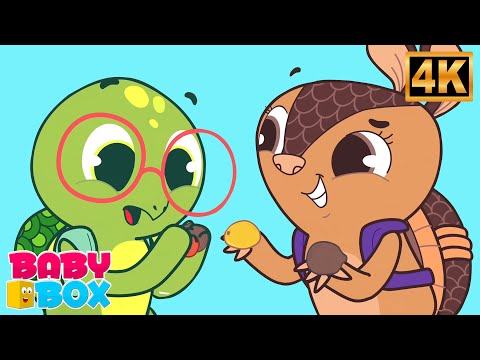 Piquenique Português Desenhos Animados e Episódio Engraçado Por Opa Keki