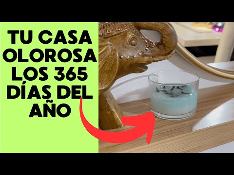 Tu CASA OLOROSA los 365 días del AÑO/FABI ZEA