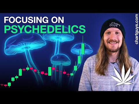 Focus from Cannabis To Psychedelics