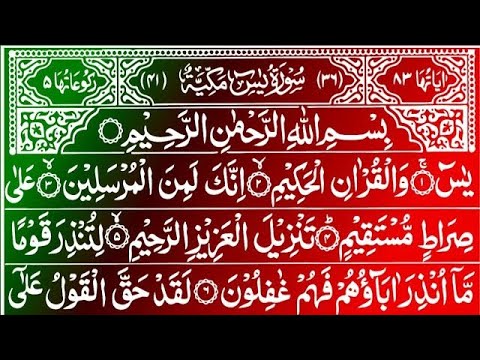 🔴 LIVE Surah Yaseen Surah Mulk || Beautiful Qur'an Recitation || Morning dua || Qur'an Tilawat