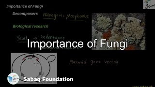 Importance of Fungi