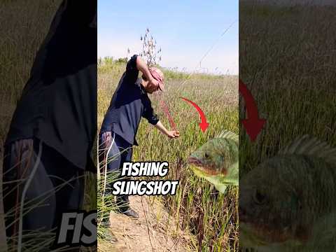 slingshot fishing target shooting skill 🎯 #fishing #slingshot #shortsfeed