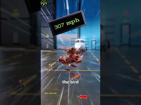 āĻŽā§āϰāĻāĻāĻžāĻā§ āĻāϰ āĻāĻŋāϤāϰ⧠āĻā§āύ āĻāϰāĻž āĻāϰāĻž āĻšāĻā§āĻā§ | Why is the cock stuffed inside it? #shortfeed #shorts