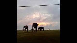 over me. - passenger (Full album)