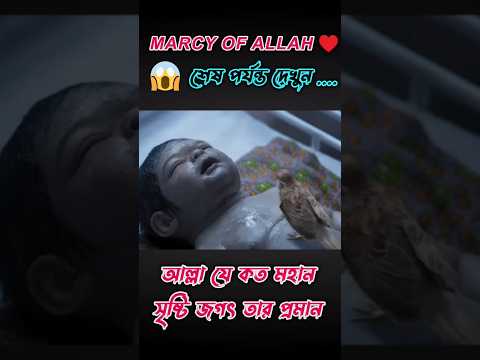 Ek Tera Naam wasila hai Mera // naat Sarkar#mg_islamic_videos #এম_জি_ইসলামিক_ভিডিও #shorts #tranding