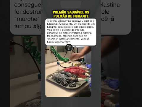 Já tinha visto como fica o pulmão de um fumante? #curiosidades #mistérios
