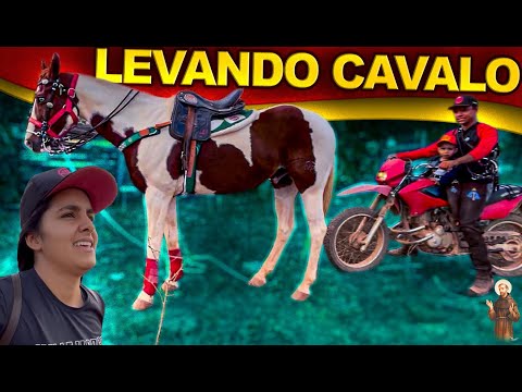 Levando nosso cavalo