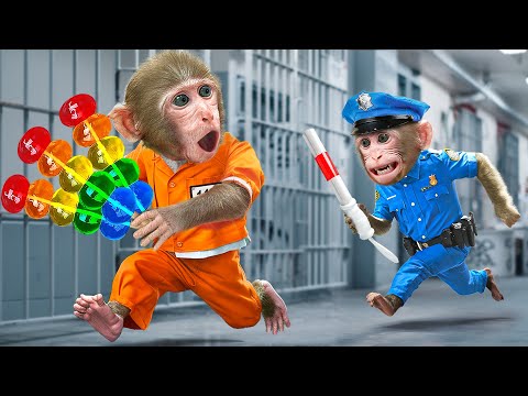 KiKi Monkey sneak Rainbow Jelly in to jail and escape Police Chase Adventure | KUDO ANIMAL KIKI