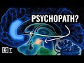 Understanding Psychopathy and Altruism