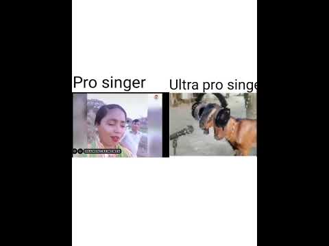 Pro singer vs Ultra Pro singer