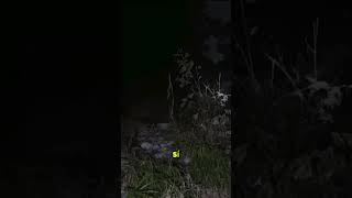 NOS ASUSTAN EN VIVO 😰