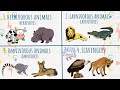 Animal Diets and Ecosystem Roles