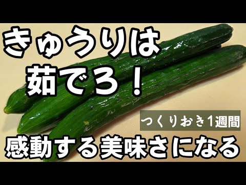 きゅうりは茹でてアレに漬けろ！感動するほど美味しくなる裏技！簡単胡瓜おつまみ 作り置き常備薬 副菜レシピ 漬物 もやし 和え物