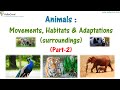 Habitats and Adaptations in Nature