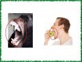 Human Evolution and Genetics Concepts