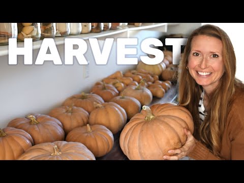 300lb Winter Squash Harvest, Prepping for 75 Chicks, and Adding Ends Walls on our Tunnel