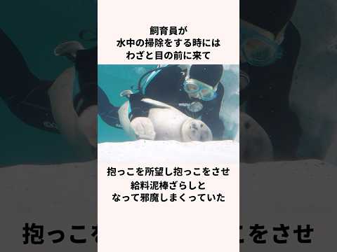 「ファンサざらし」ミゾレについての雑学