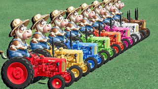 Work With COLORS - COWS ON Mini Zetor Tractors - Farming Simulator 22
