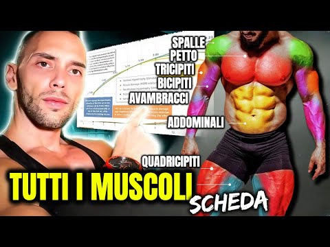 TOTAL BODY - fai Questa SCHEDA per NATURAL se vuoi METTERE MASSA nella PARTE ALTA e BASSA insieme