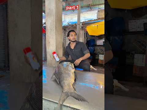 ১৩ কেজি মাছে রং দেওয়া কারণ কী 😳 #jk_shanto #comedyshorts #comedy