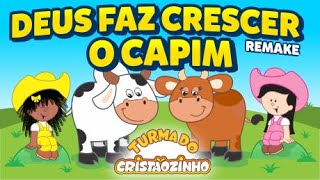 Turma do Cristãozinho - Deus Faz Crescer o Capim