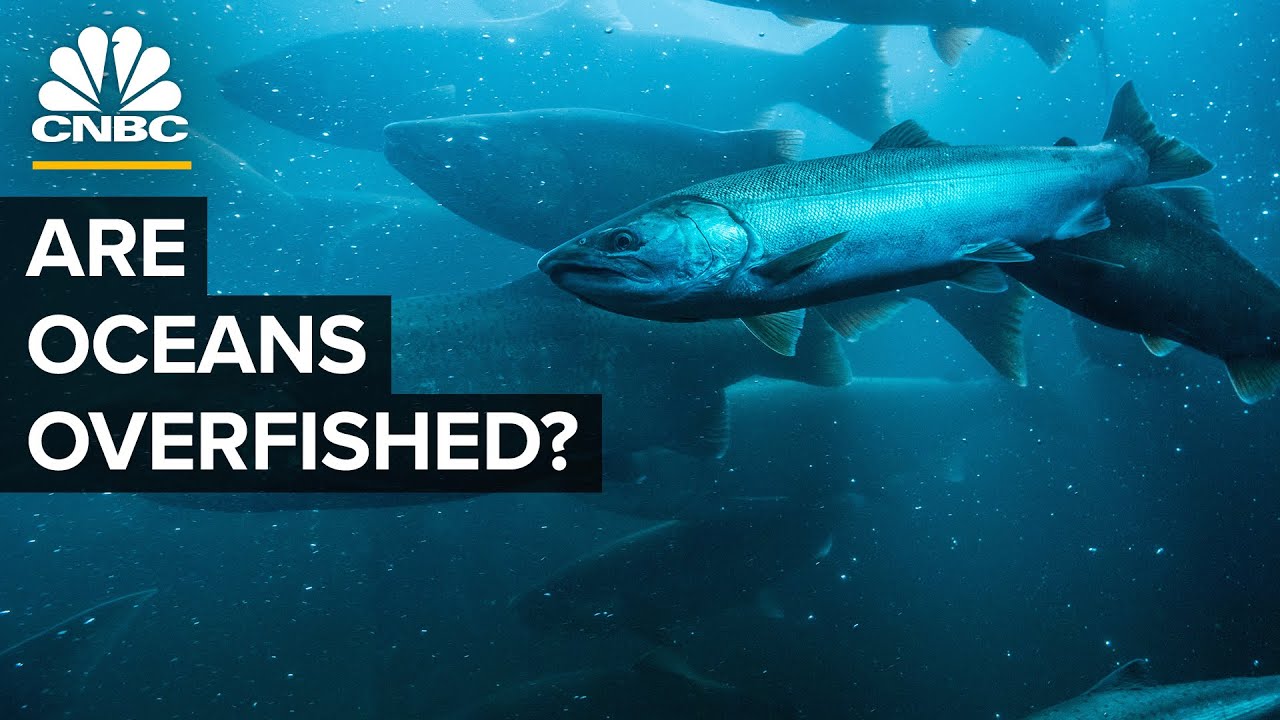 Why U.S. Seas Are Underfished