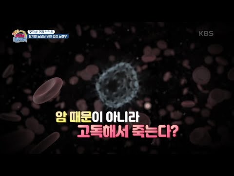 [굿모닝! 건강 브런치] 활기찬 노년을 위한 건강 노하우 [생방송 굿모닝 대한민국] | KBS 250208 방송