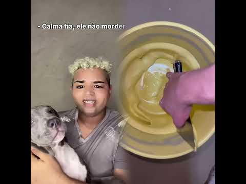 QUANDO A TIA CONHECER O NOVO CACHORRO