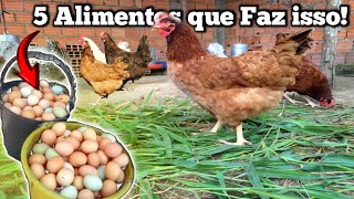 isso Faz as GALINHAS botar OVOS todo DIA VEJA isso, #falaaesial #galinhas #ovos #agropecuaria
