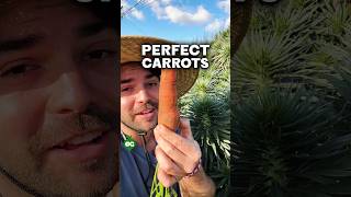 I learned the secret to perfect carrots...