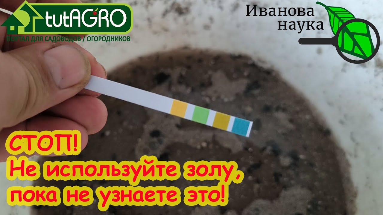 Самое опасное сочетание удобрений, которое оставит вас без урожая! Не используйте просто золу!