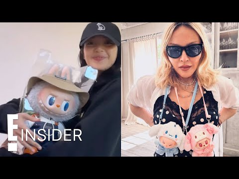 Labubu Mania: Rihanna, Dua Lipa and More Love These Viral TikTok Dolls | E! Insider