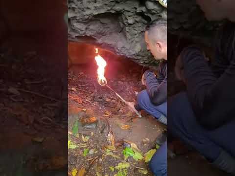CO2 en la cueva