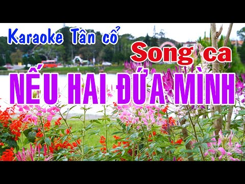 Karaoke tân cổ NẾU HAI ĐỨA MÌNH – SONG CA [Minh Vương – Lệ Thủy]