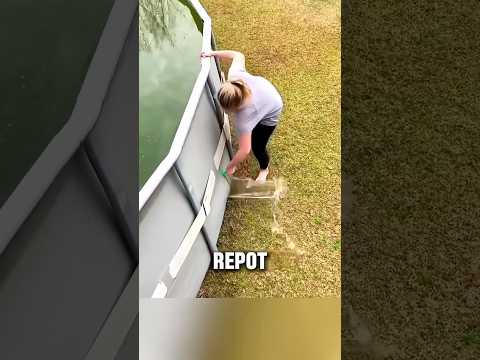JANGAN PERNAH MEROBEK KOLAM😱#videoviral #informasi #kolamrenang