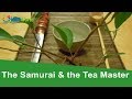 Samurai Duel and Tea Ceremony
