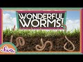 Earthworms: Nature's Underground Helpers