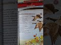 Symbolism and Themes in 'Something Told the Wild Geese'