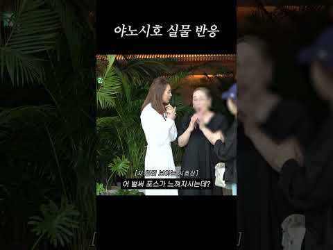 야노시호 처음 본 MJ