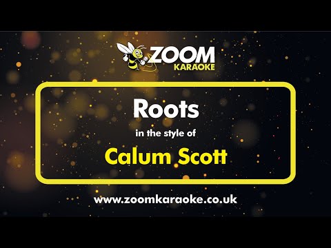 Calum Scott – Roots (Karaoke Version) with Lyrics On Screen