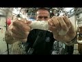 Water Behavior in Space Experiment