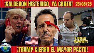 EL MAY0 SE DECLARA CULPABLE! CALDERÓN HISTÉRICO, TIEMBLAN EXPRESIDENTES. EE.UU. NOTICIAS HOY