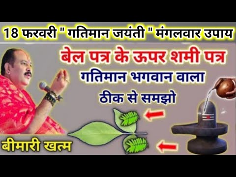 18 फरवरी गतिमान जयंती मंगलवार उपाय | बेल पत्र और शमी पत्र का उपाय | mangalwar ke upay pradeep mishra