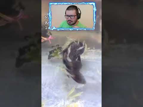 PEZ ENFERMO ES SALVADO POR UNAS GAMBAS