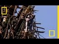 Land Diving Rituals of Pentecost Island